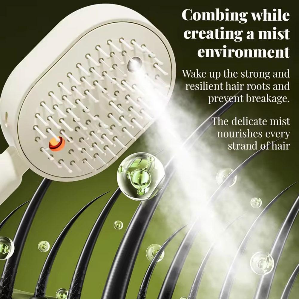 Electric Spray Air Bag Massage - Hair Care Essential Oil Atomizing 评论和价格